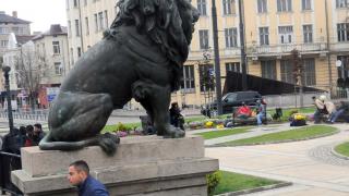 Страховит инцидент край столичния Лъвов мост