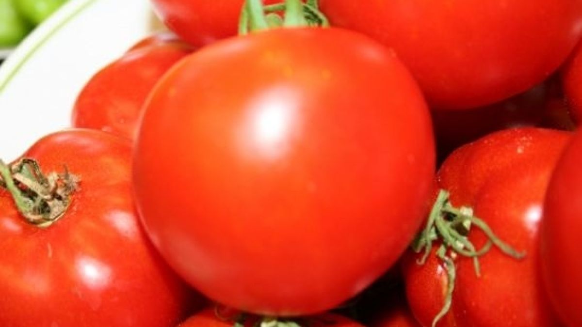 Стана ясно защо доматите губят вкуса си в хладилника