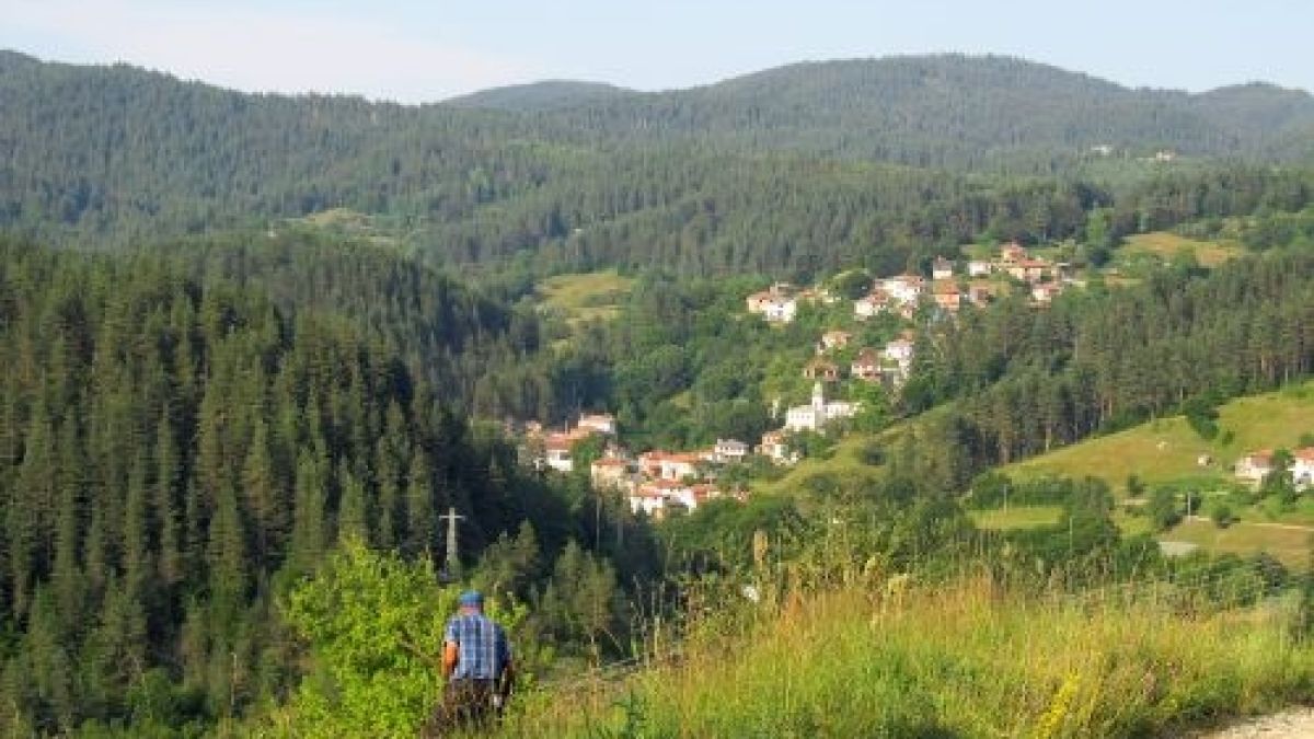Две млади жени от Смолян бяха на купон, после влязоха в гора и.... 