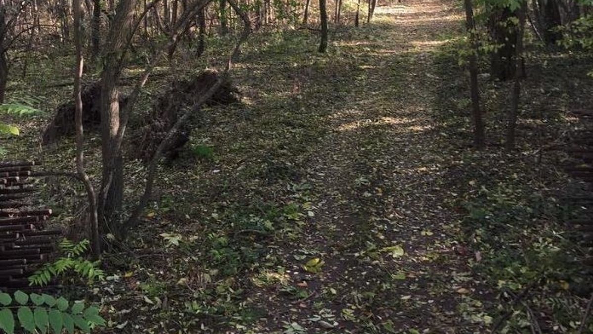 Голяма трагедия разтърси Царево! Откриха баш майстора Данчо безжизнен в гората