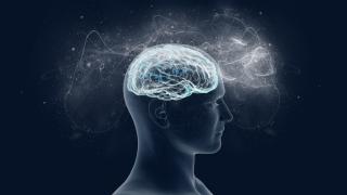 Какво прави депресията с вашия мозък? Вижте как съзнанието ви страда