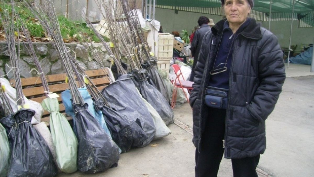 Купили сте фиданките късно? Запазете ги до пролетта.