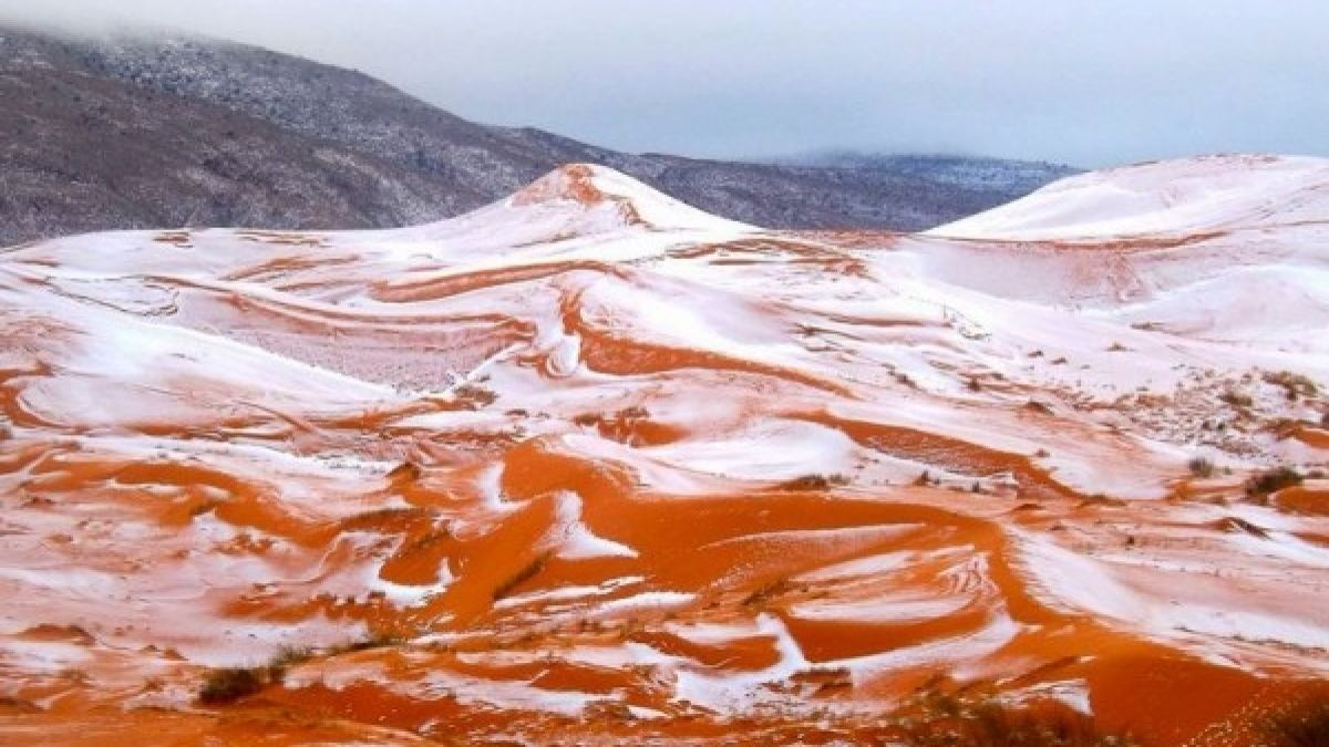 Аномалия: Първи снежинки паднаха в Сахара от 37 години насам (СНИМКИ)
