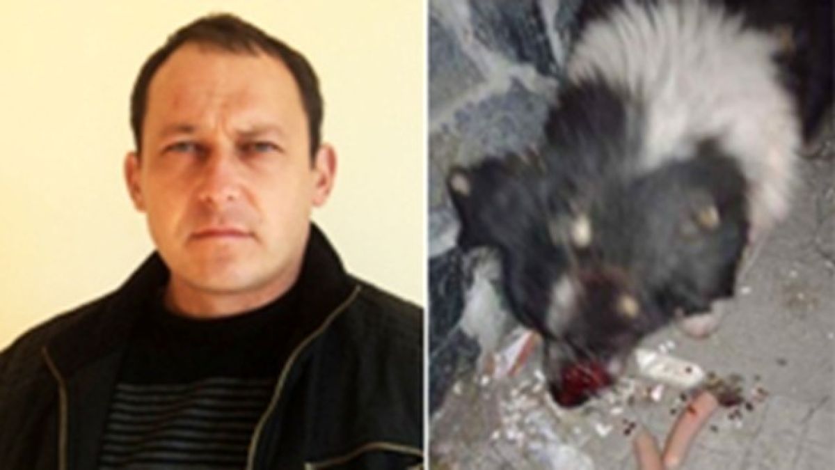 Кошмар! Кметът на Габер разстрелва кученце. Зверството е пред очите на деца, прокуратурата започва разследване (СНИМКИ)