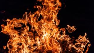 Кошмар! Гангстери подпалиха седем автобуса, защото...