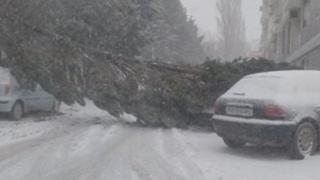 Във Варна е страшно! Вижте защо трябва да си стоите вкъщи, ако ви е мил животът! (СНИМКИ)