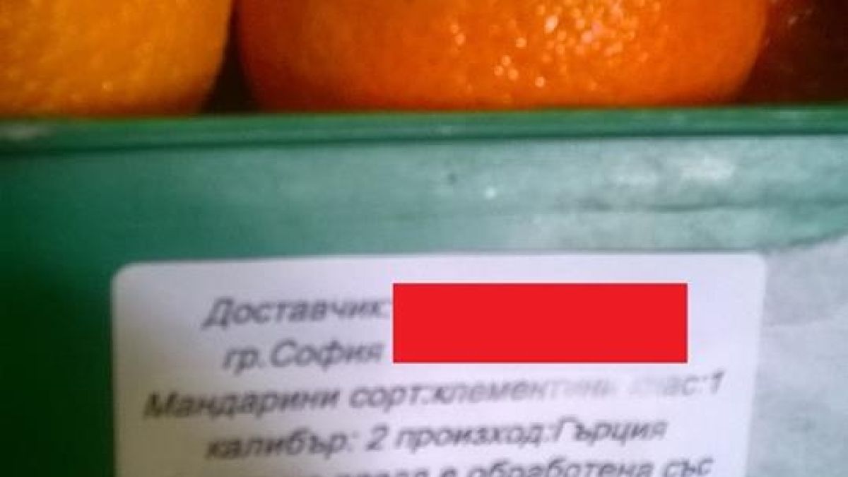 Владимир Василев: 15 години се занимавам с обработка на плодове и зеленчуци. Това, което виждам в един от най-големите складове в България, е, меко казано, ужасяващо! (СНИМКИ)
