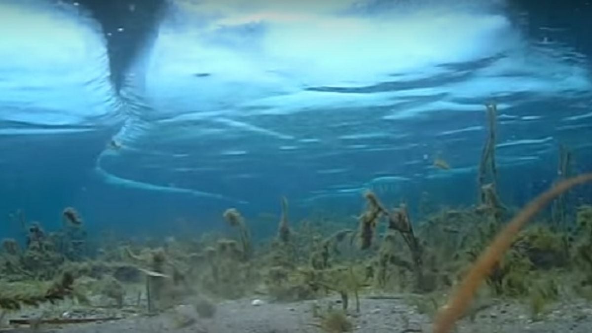Виж замръзналото Охридско езеро, заснето под вода (ВИДЕО)