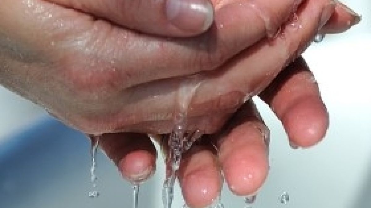 Жълтеница вилнее в търновско село 