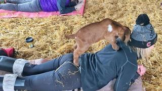 Нов вид йога се превърна в истински хит в Щатите (СНИМКИ/ВИДЕО)