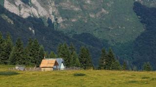 Ето защо умните хора се чувстват щастливи, когато са сами