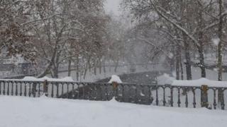 Мъртъв бежанец, наполовина заровен в снега, откриха край Марица 