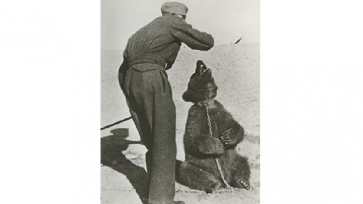 Уникалната история на един необичаен герой от Втората световна война (СНИМКИ)