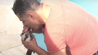 Австралиец първо помпа с компресор птица, а после ѝ лапна клюна и започна да я надува сам. Вижте защо (ВИДЕО)