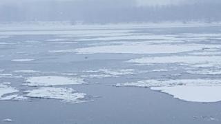 Печално: Опитен ловец се удави в Дунав, гонел патица по леда
