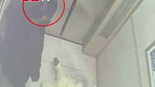 Шокиращо ВИДЕО: Майка изостави бебето си в асансьор след скандал с мъжа си 