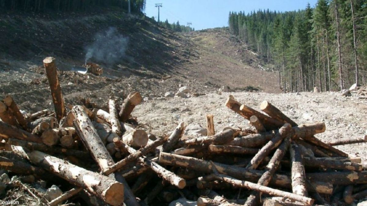 WWF се провалиха в кампанията за Пирин
