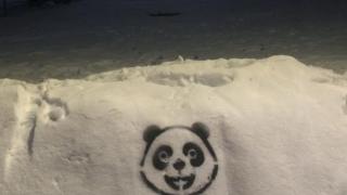 Уникално! Центърът на София осъмна с... (СНИМКИ)