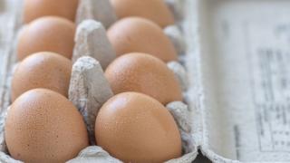 И яйцата удариха космически цени, производители молят за помощ