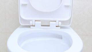 В тази страна избиха рибата - вижте какво сложиха в тоалетните 