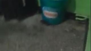 Само в БЛИЦ! Жителите на блок в столичния квартал "Надежда" изпищяха, ето какво притичва във входа им (ВИДЕО)