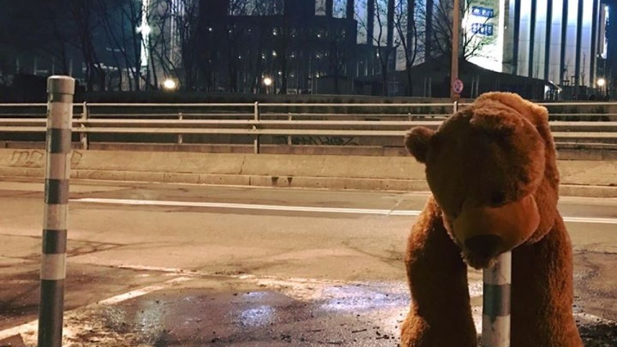 Мече, побито на кол, разплака софиянци (СНИМКА) 