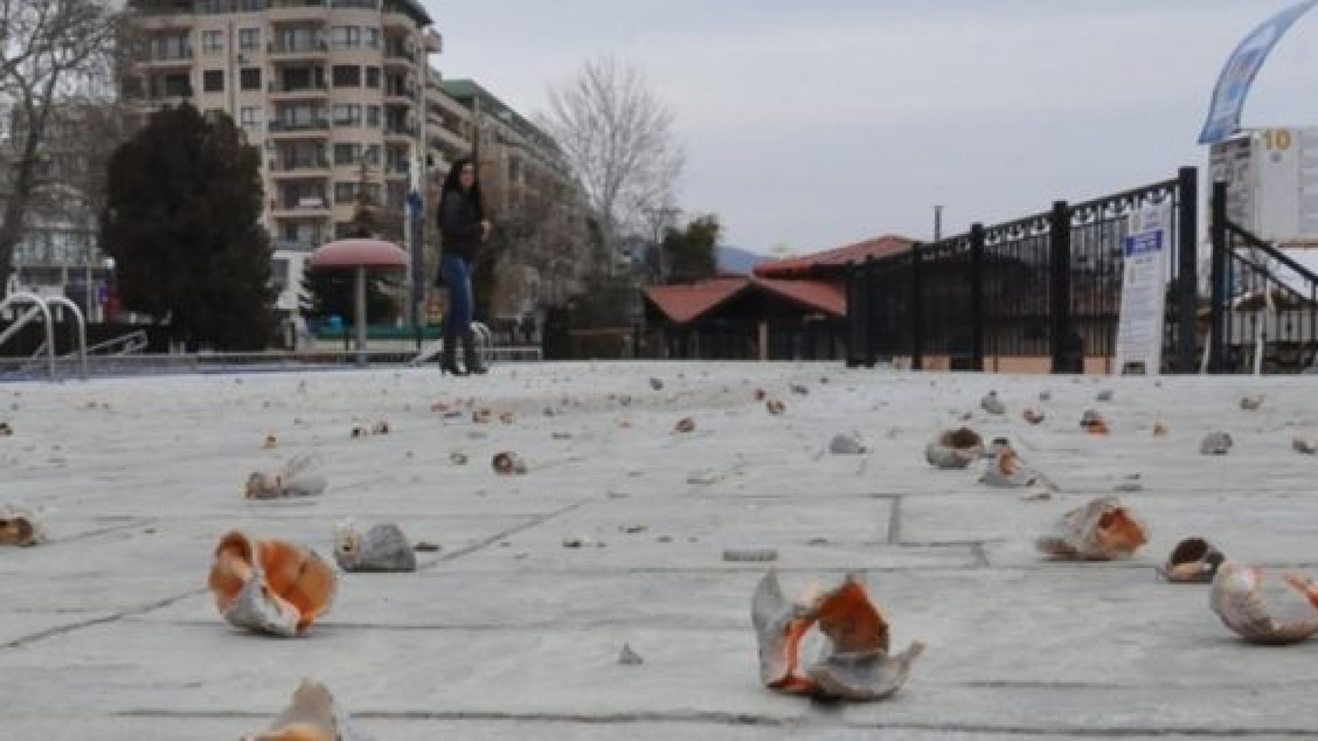 Нещо много странно и опасно се случва в Златни пясъци (СНИМКА)