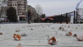 Нещо много странно и опасно се случва в Златни пясъци (СНИМКА)