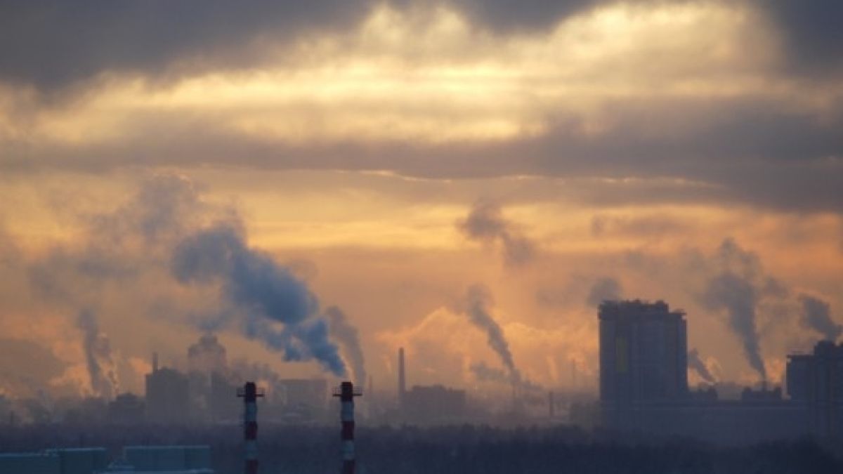 Уникално! Вижте как мъж реши да се пребори с мръсния въздух в София (СНИМКА)