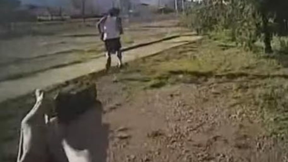 Полицай засне как Дявола му пуска смъртоносен куршум (ВИДЕО 18+)