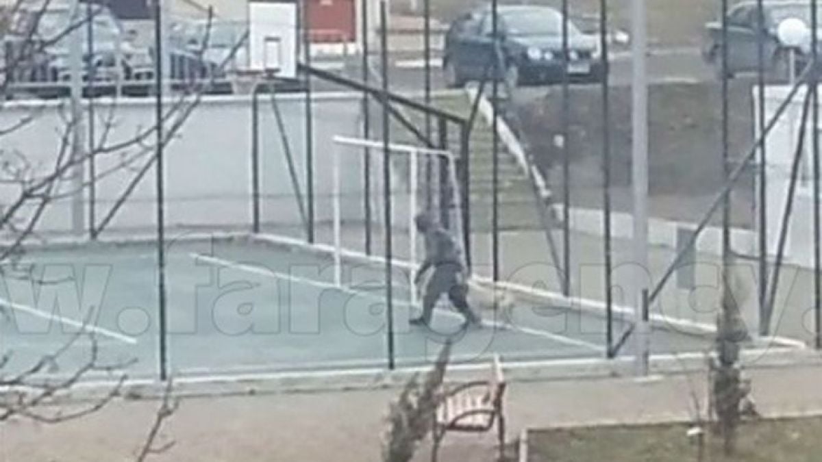Бургазлия взриви социалната мрежа с методите, с които тренира кучето си