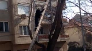 Това, което направиха пожарникари в Благоевград, спечели сърцата на хората (ВИДЕО)
