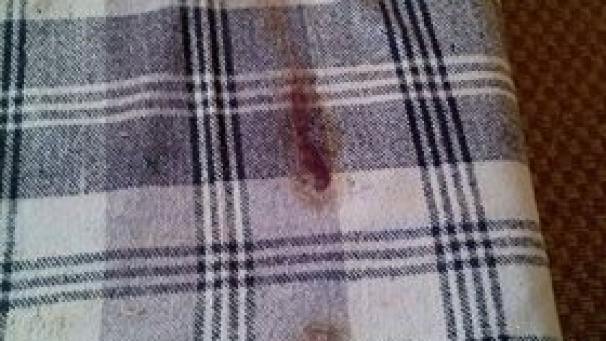Старата песен на нов глас! Ужасът в хотела на кошмарите в село Семково продължава (СНИМКИ/ВИДЕО)