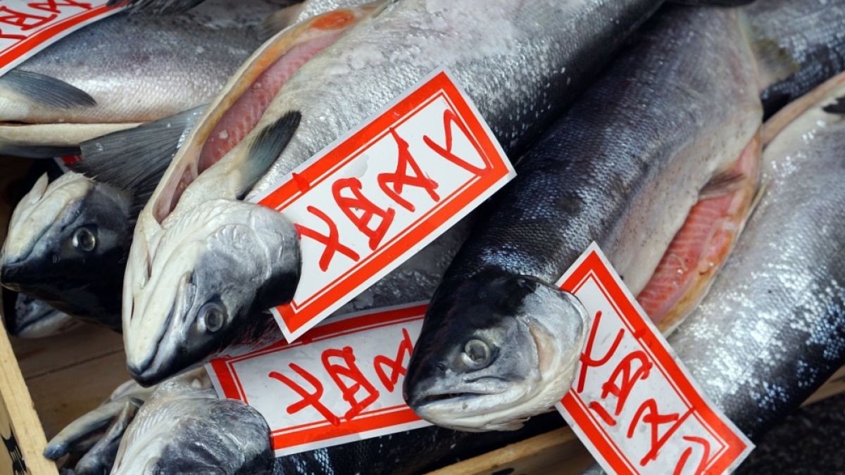 Ядете вредна храна? Две порции мазна риба седмично ви решават проблемите 