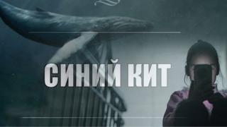 Зловещата игра „Син кит”: Истина или борба за онлайн посещения?