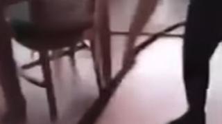 Безстрашна келнерка изтегли с голи ръце огромно влечуго за опашката (ВИДЕО)