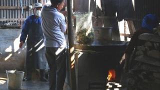 Зверство или бизнес! Китайци варят живи хиляди патета (СНИМКИ 18+)