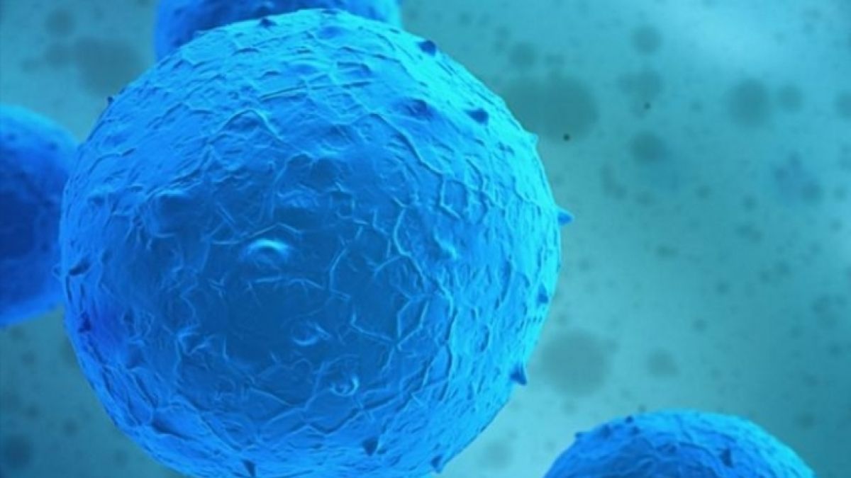 Учени от Imperial College London: Трансплантация на стволови клетки може да „замрази“ множествената склероза