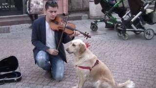 Това куче се превърна в атракция в центъра на Пловдив (ВИДЕО)