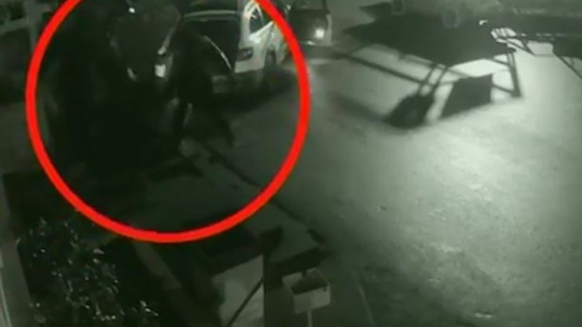 Зрелищно ВИДЕО как въоръжените апаши отмъкват и разбиват с чук голяма каса за 3 минути в София 