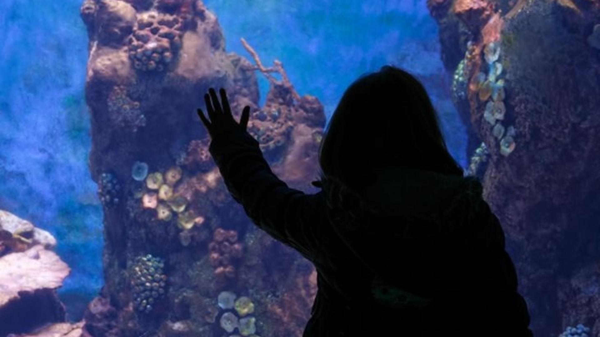 Учени отриха нов вид риба в Турция, непознат досега на света СНИМКА