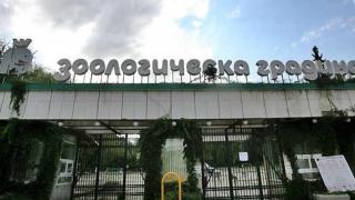 "Говорещият с кучета" Сизър Милан отива в столичния зоопарк, за да... 
