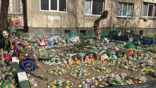 Красиво или грозно?! Цял Фейсбук спори за тази "градинка" в София (СНИМКА)