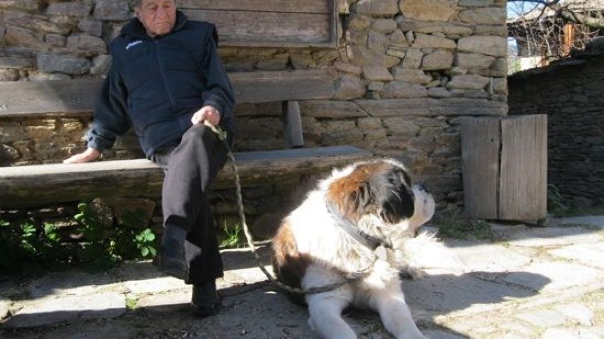Почина известният писател, сценарист и драматург Георги Данаилов