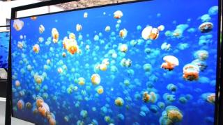 На фона на разкритията за ЦРУ купуваме си все по-големи телевизори