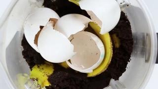 Уникална хитрина съживява увехналото цвете  