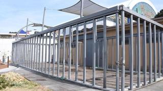 Ужас! Слон би до смърт с хобота си човек пред посетителите на зоопарк