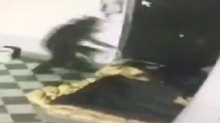 Вижте как гаменът залива бездомника с бензин и го изгаря жив (ВИДЕО 18+)