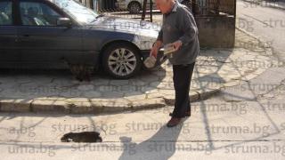Бивш шеф на пътното запретна ръкави и сам запълни дупка в Петрич 