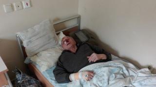 Глутница кучета наръфаха лицето на мъж